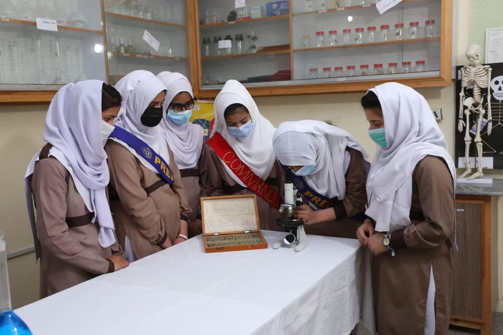 Top College in Haripur